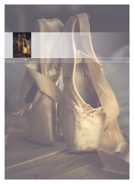 Theme preview